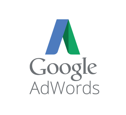 Google Adwords or nothing !